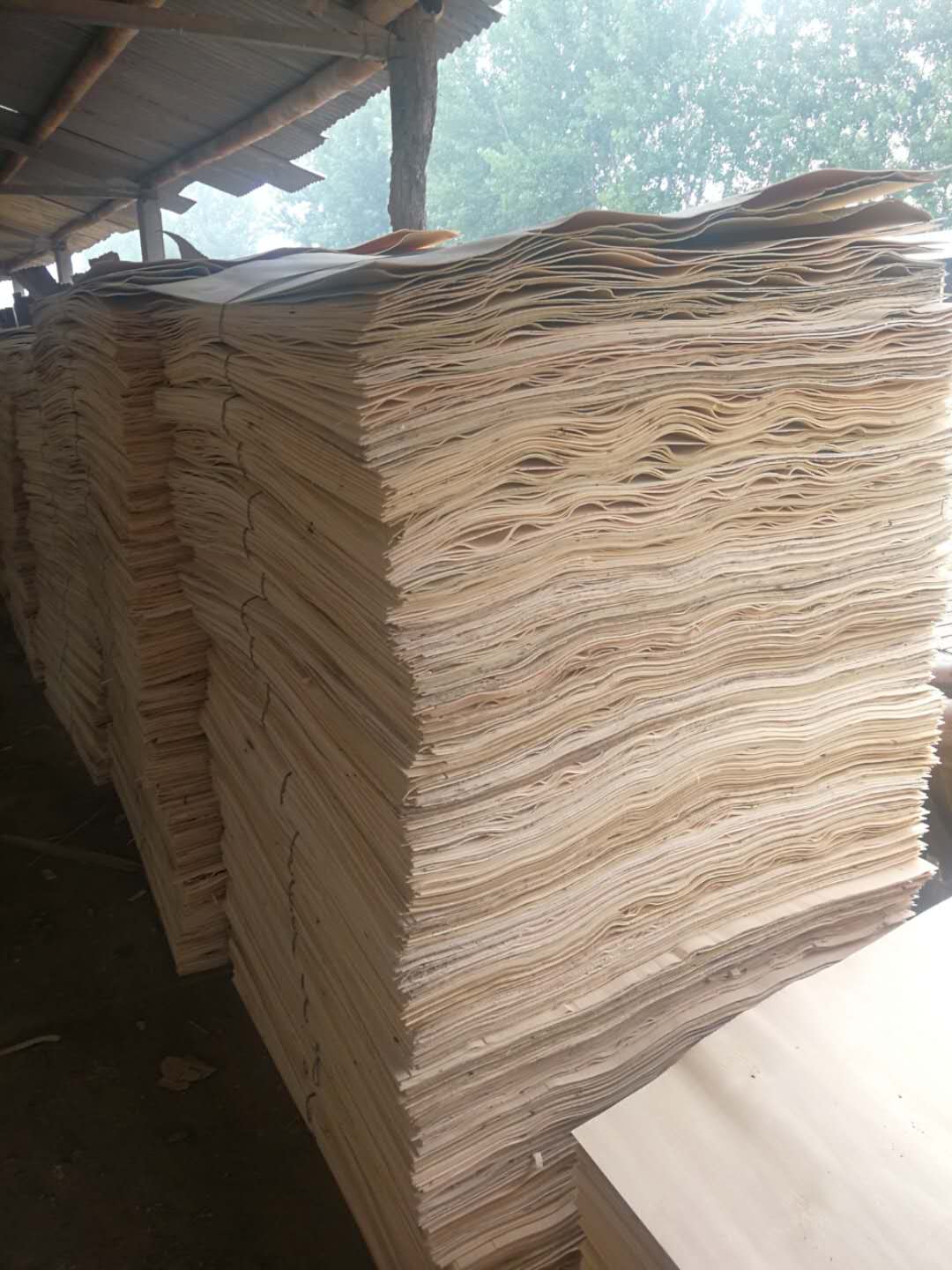  ��Ԕ����B