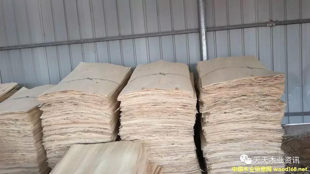 ��ľƤ�ӵ�Ԕ����B