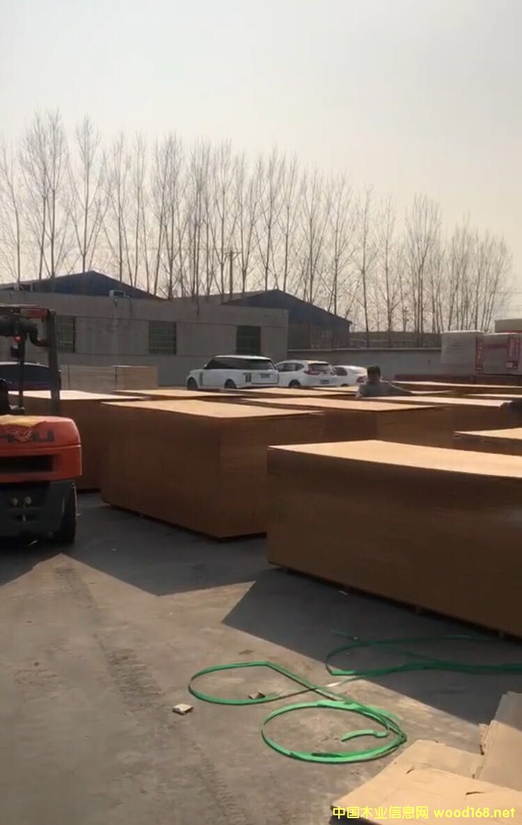 ʢ����ĵ�Ԕ����B