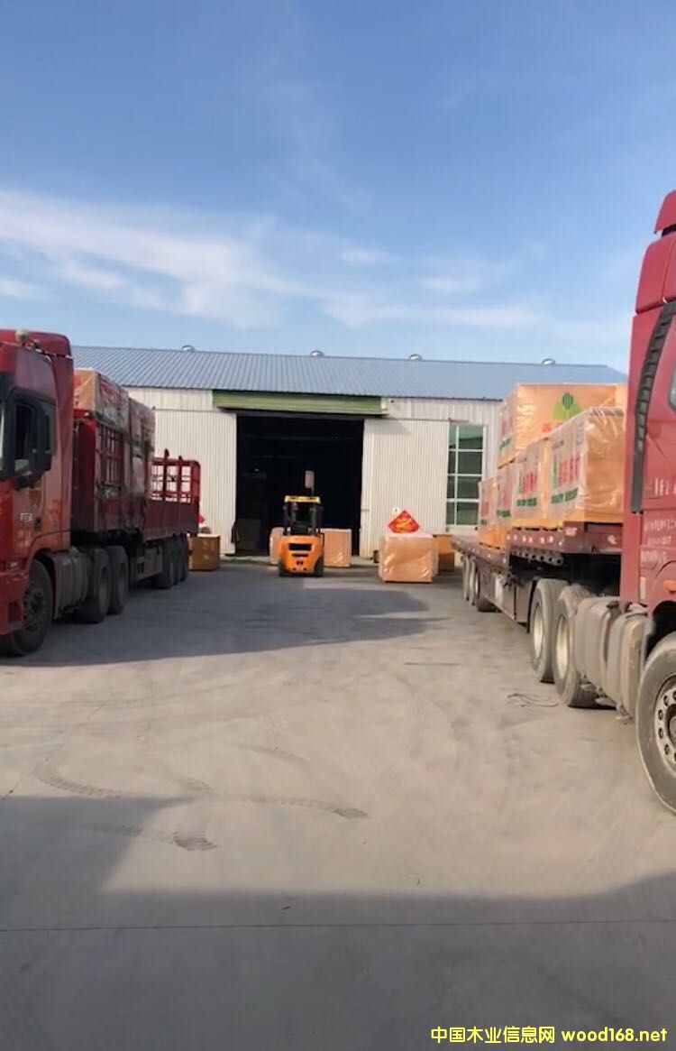 ʢ����ĵ�Ԕ����B