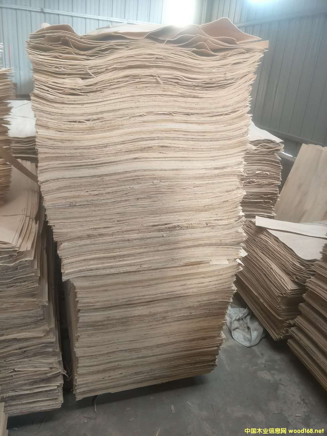 ���׵�Ԕ����B