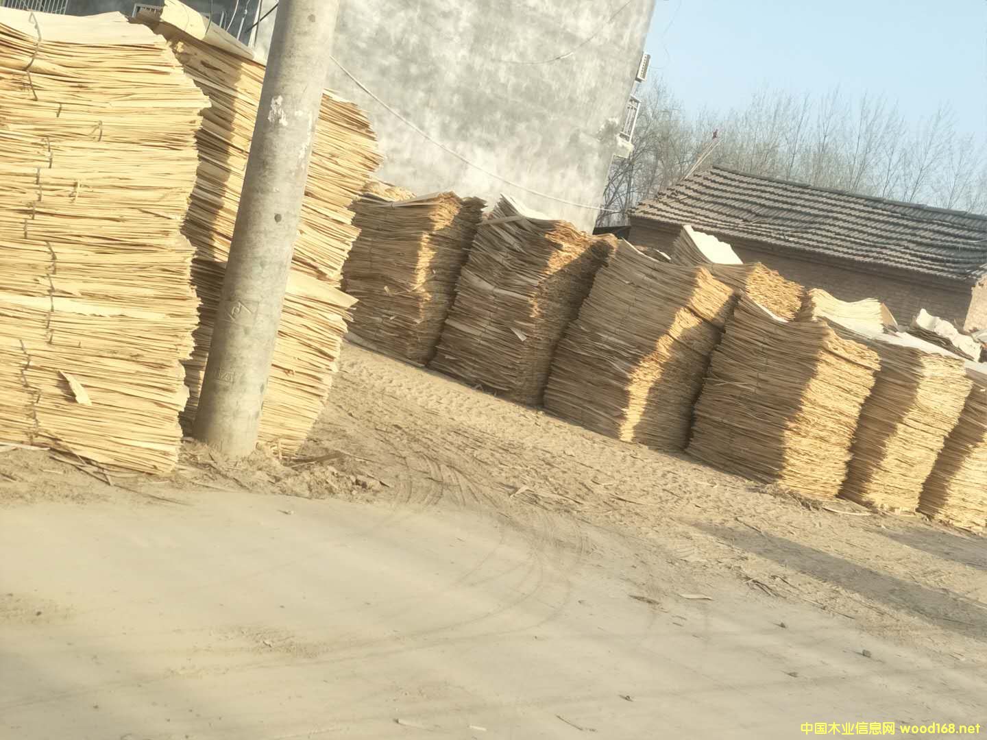 С��С����Ԕ����B