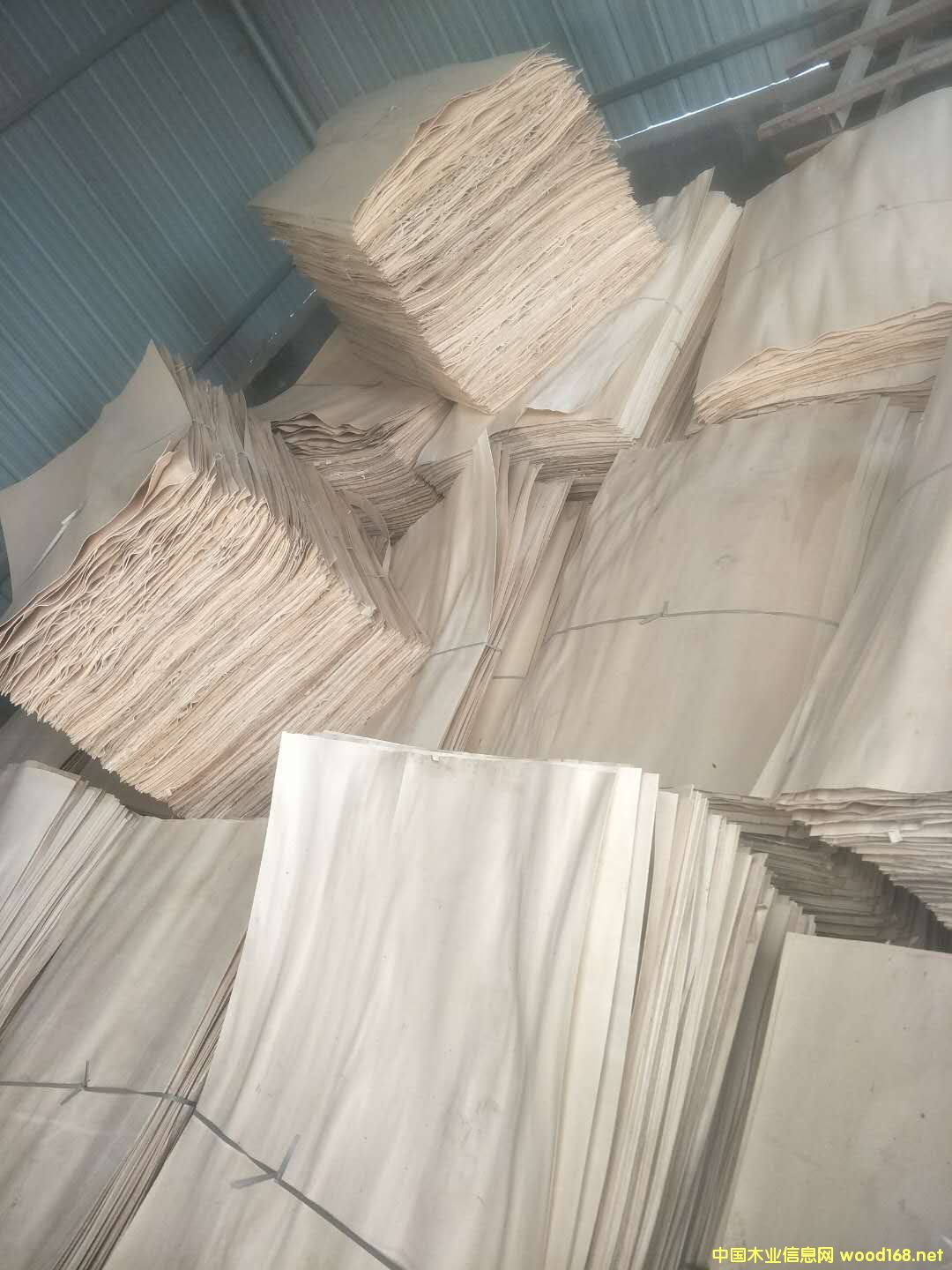 ���׵�Ԕ����B