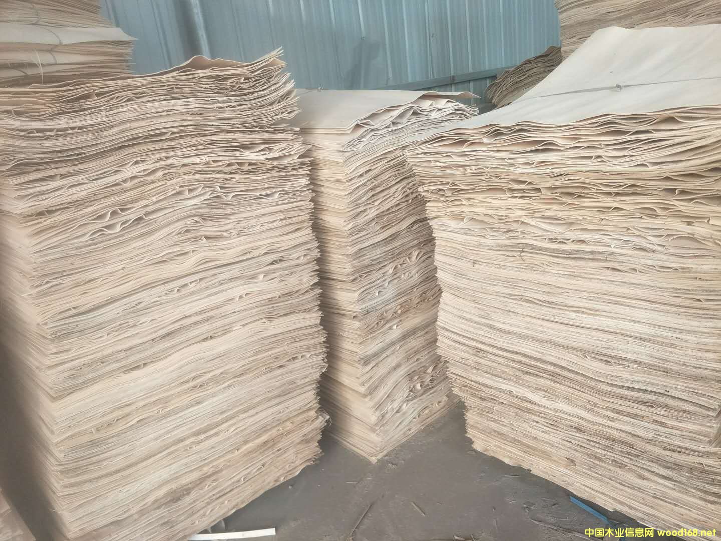 �����o��Ԕ����B