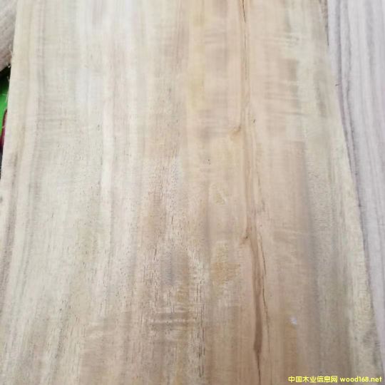 ���ڴ��~������