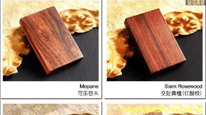 �����ڰ��M��ԭľ���F���l�����L �������Fԭľ