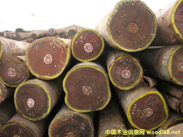 ���Hľ���Ј��^�죺�W�������󏊄����L�r������