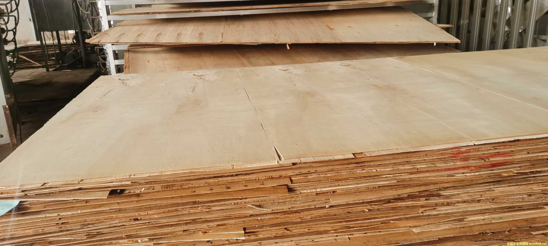 ����15�����