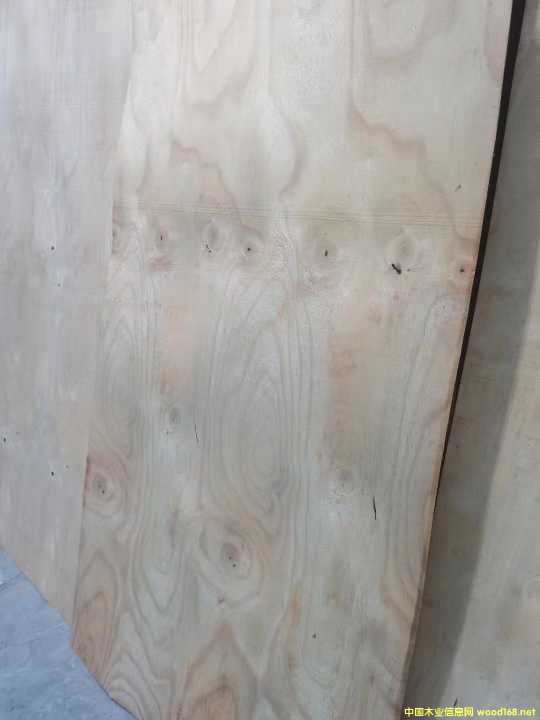  �M(j��n)�����zľ���Іΰ�