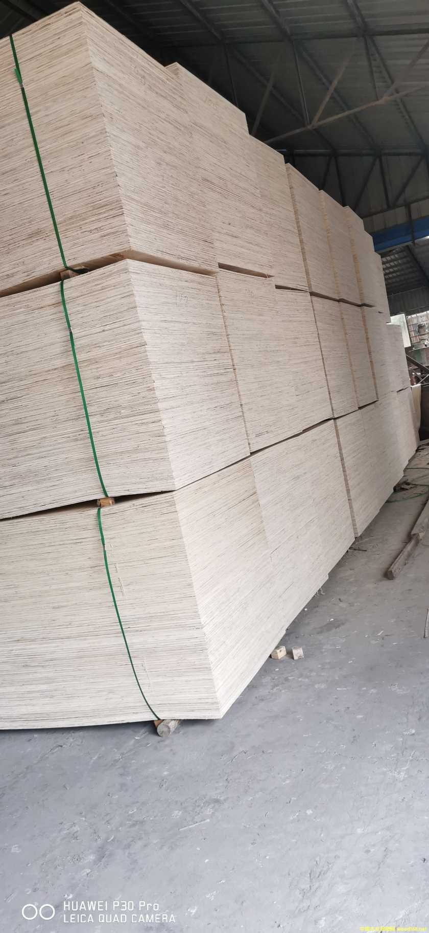  ��Ԕ����B