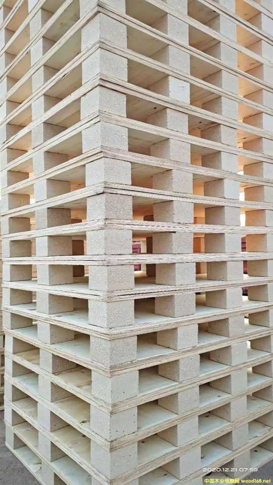 ��Ѭ��ľ�бP