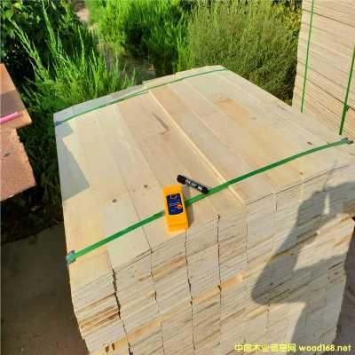 ������������Ѭ�����b�ö��Ӱ�LVL