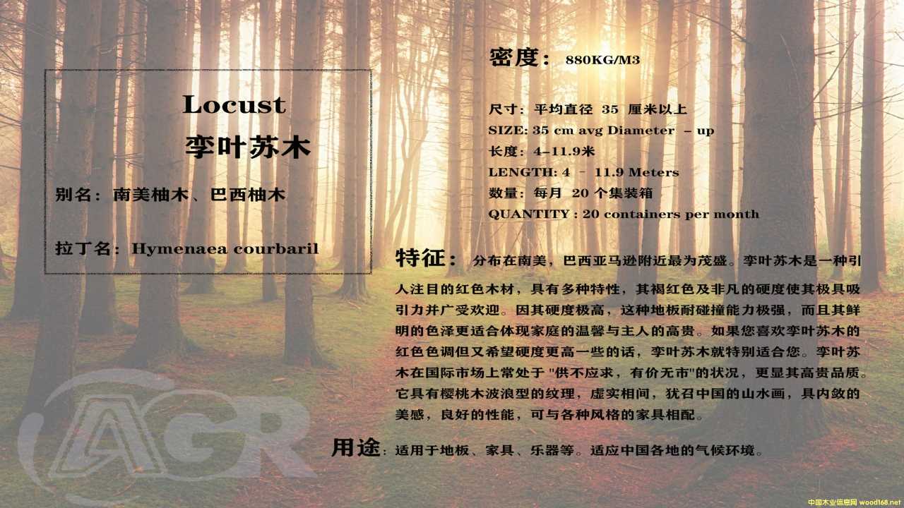 ������ľ