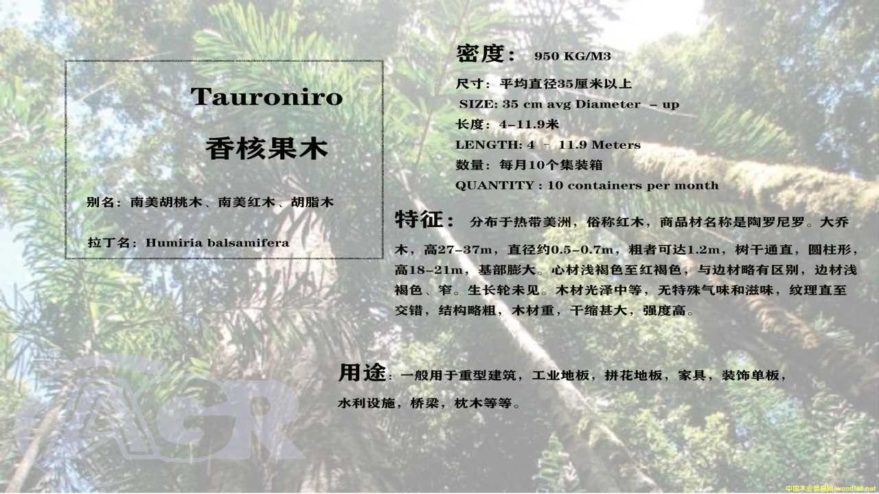 ��˹�ľ��Ԕ��(x��)��B