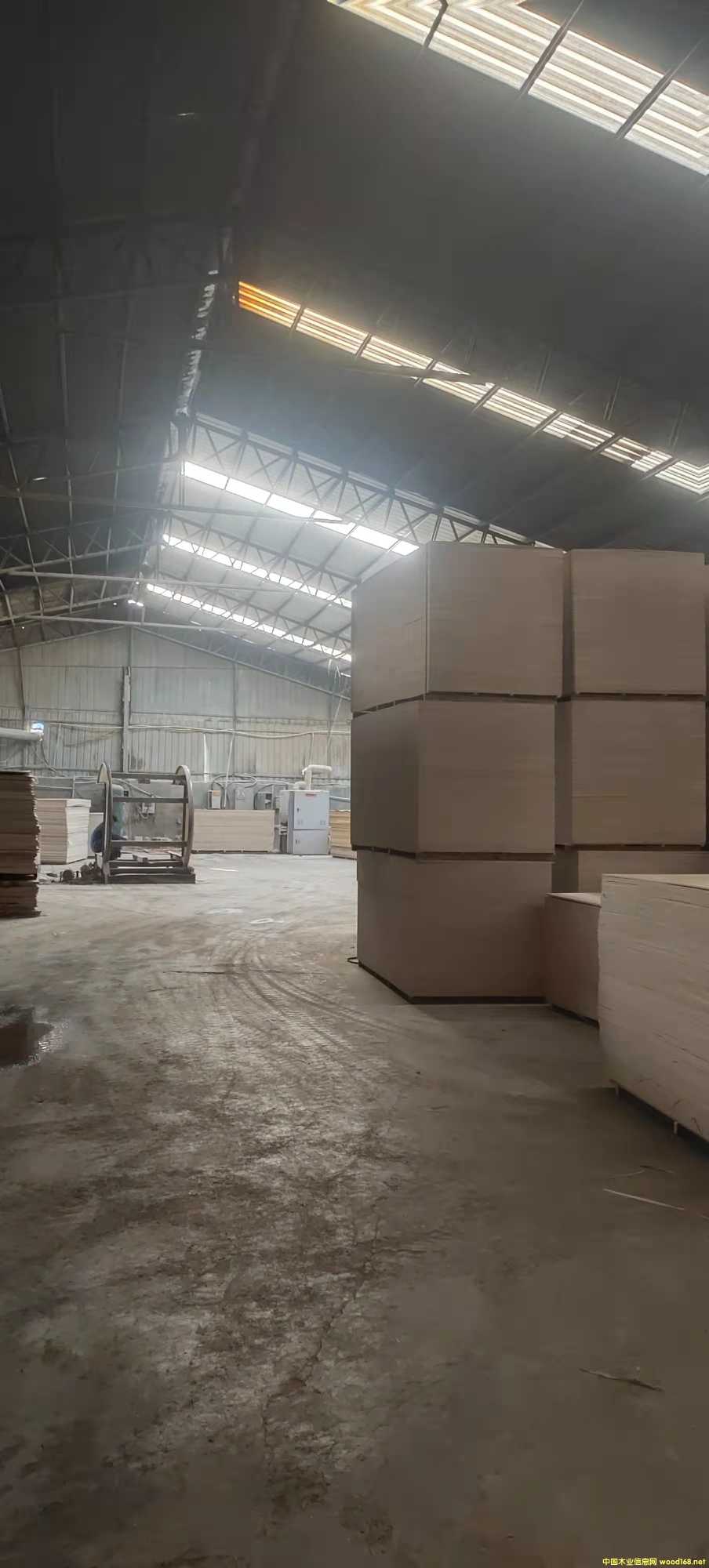 ��ĵ�Ԕ����B