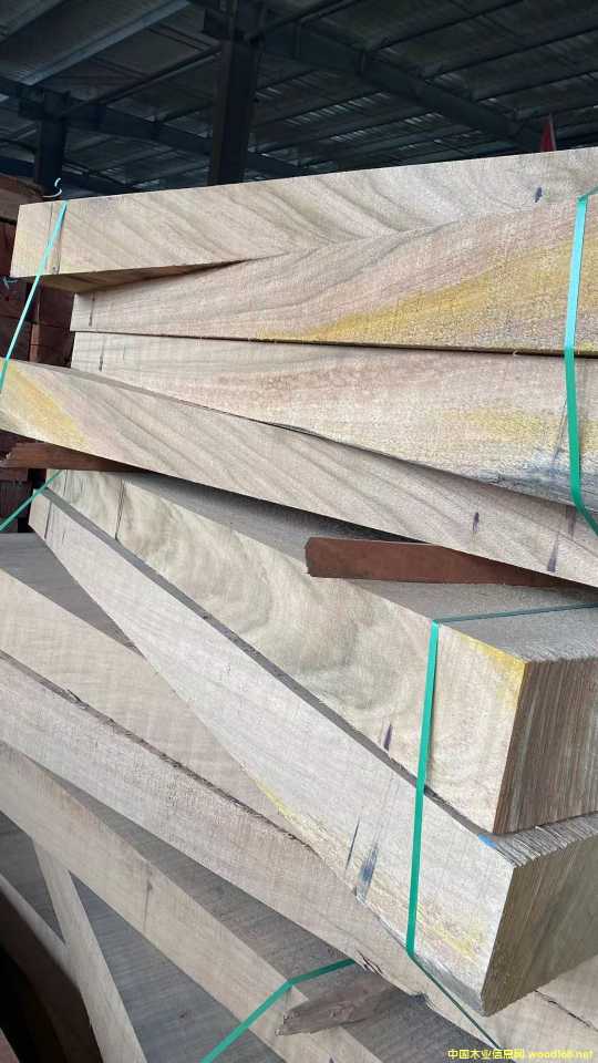 TB������ľ��