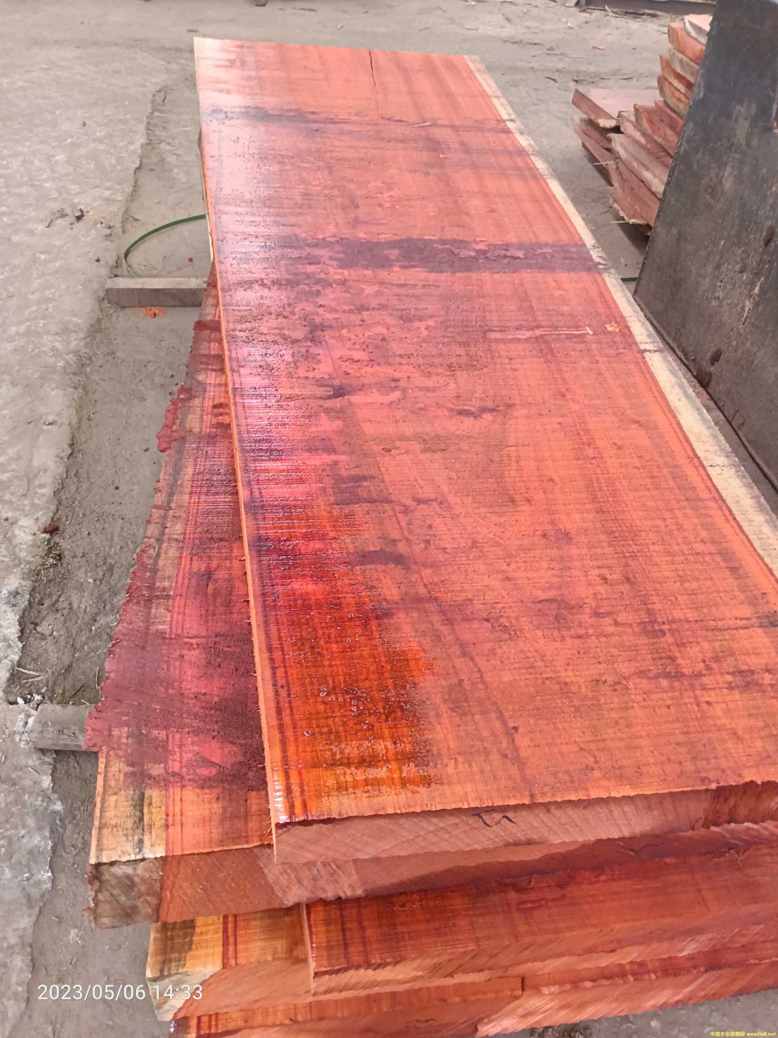 �t����۲��Ϫ���