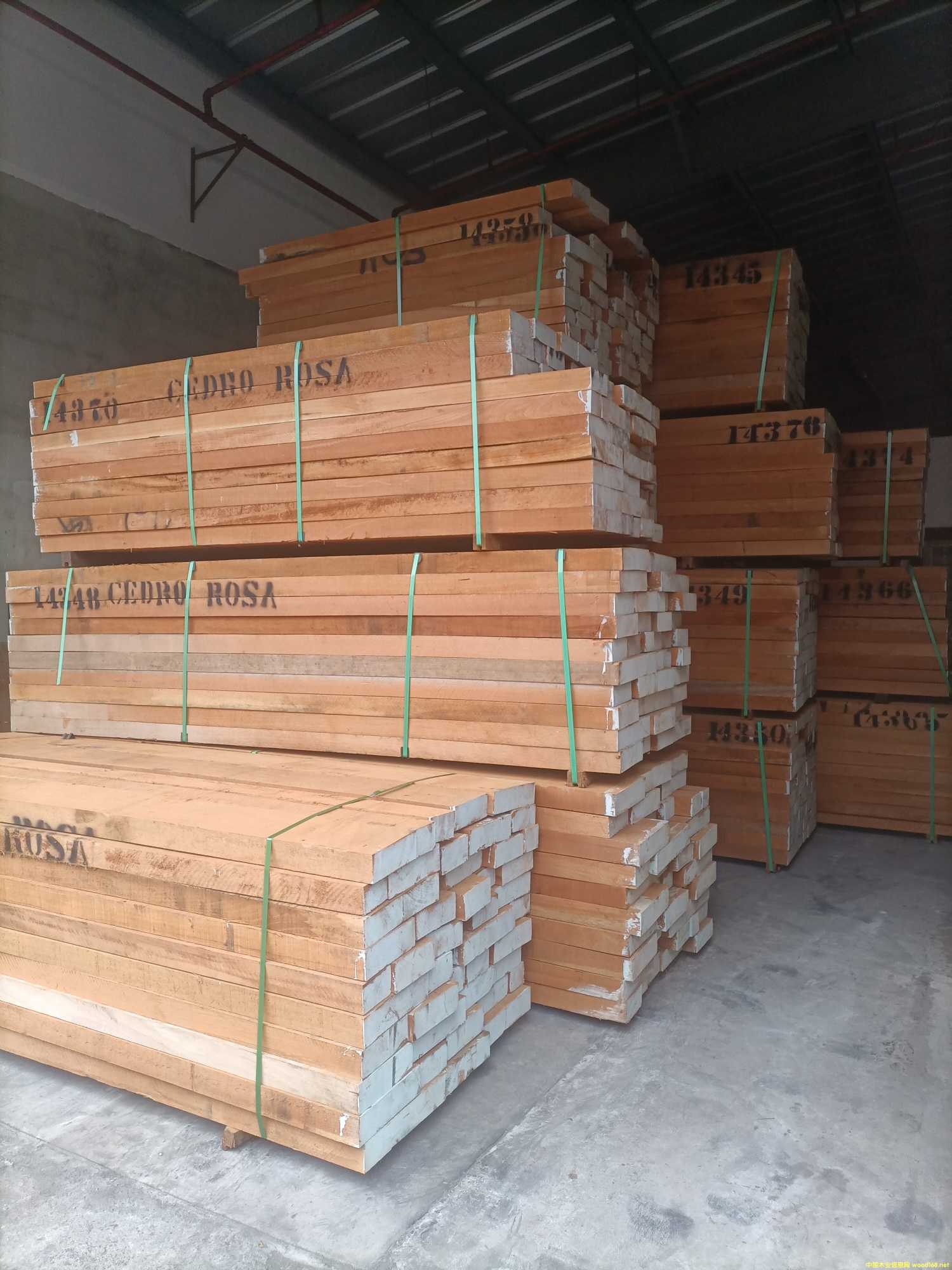 ������ѩ��ľ��Ԕ����B