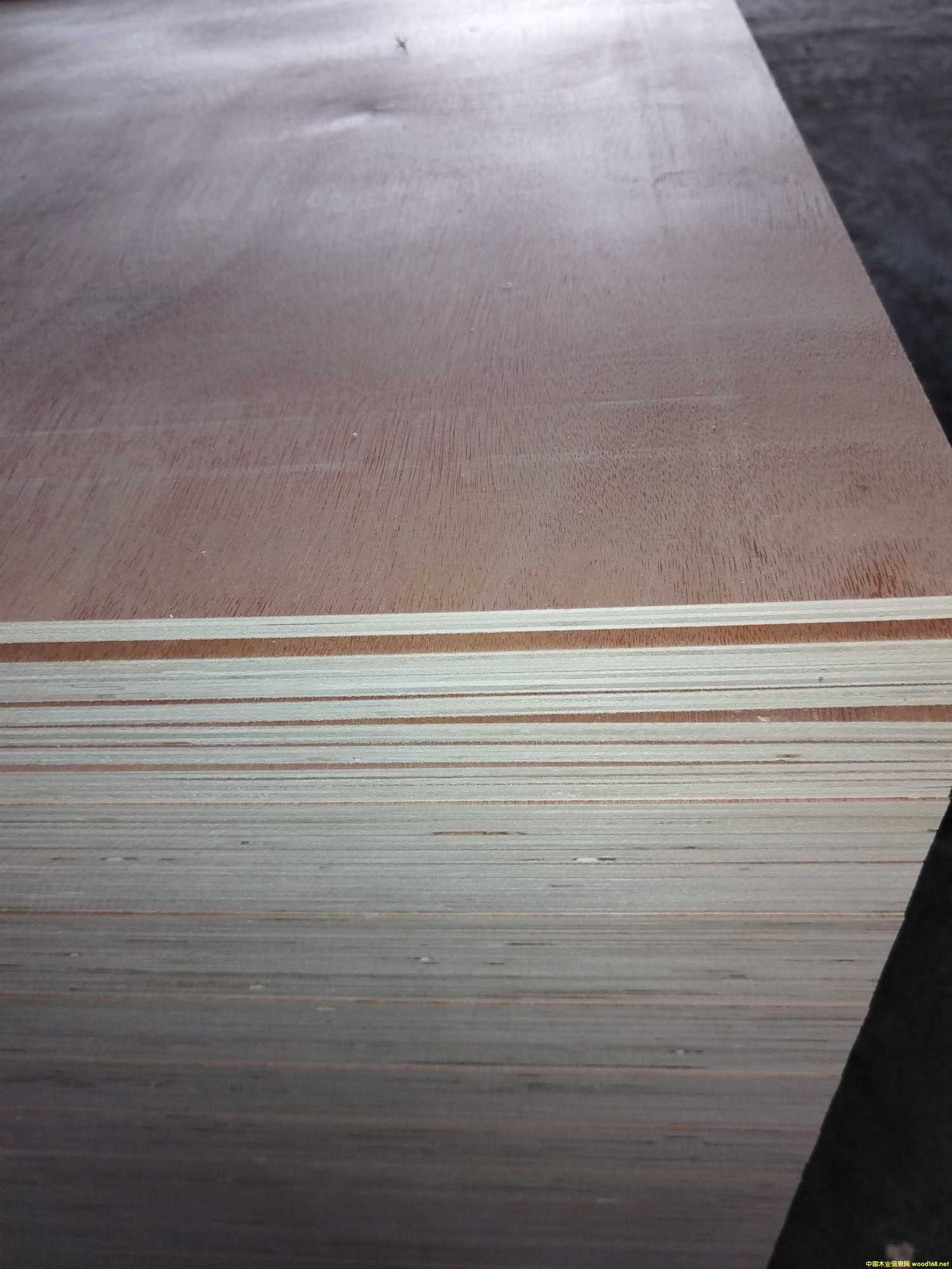 ����t5��