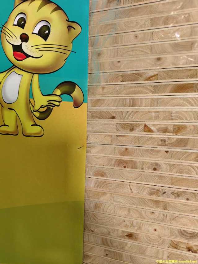 ɼľ���B��