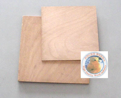 ���O�ܻ�������ģģ���Ԕ����B