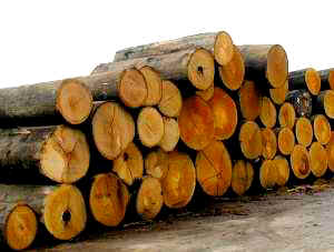 ԭ���sľ�ĵ�Ԕ����B