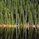 ԭɼľ�ĵ�Ԕ����B