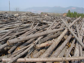 ��ļӹ�܇�g��Ԕ��(x��)��B